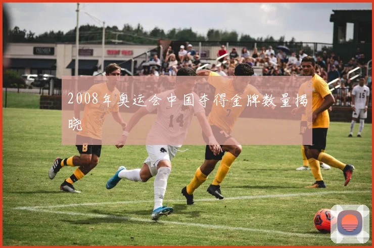 2008年奥运会中国夺得金牌数量揭晓