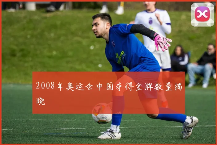2008年奥运会中国夺得金牌数量揭晓